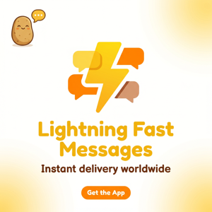 POTATO品牌 - Potato勋章地区适配：完整指南与深度分析